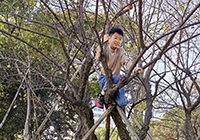 挑榴莲-国际短信接口